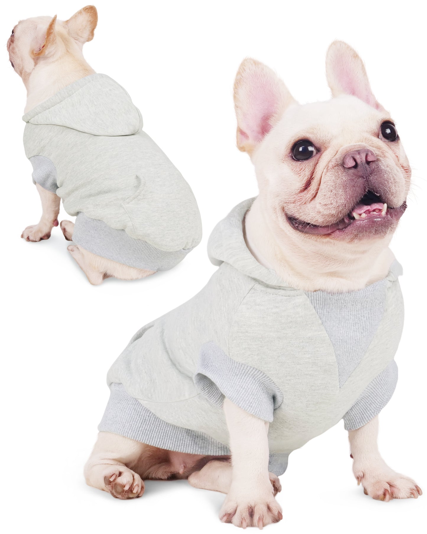Joyahoo Dog Hoodie