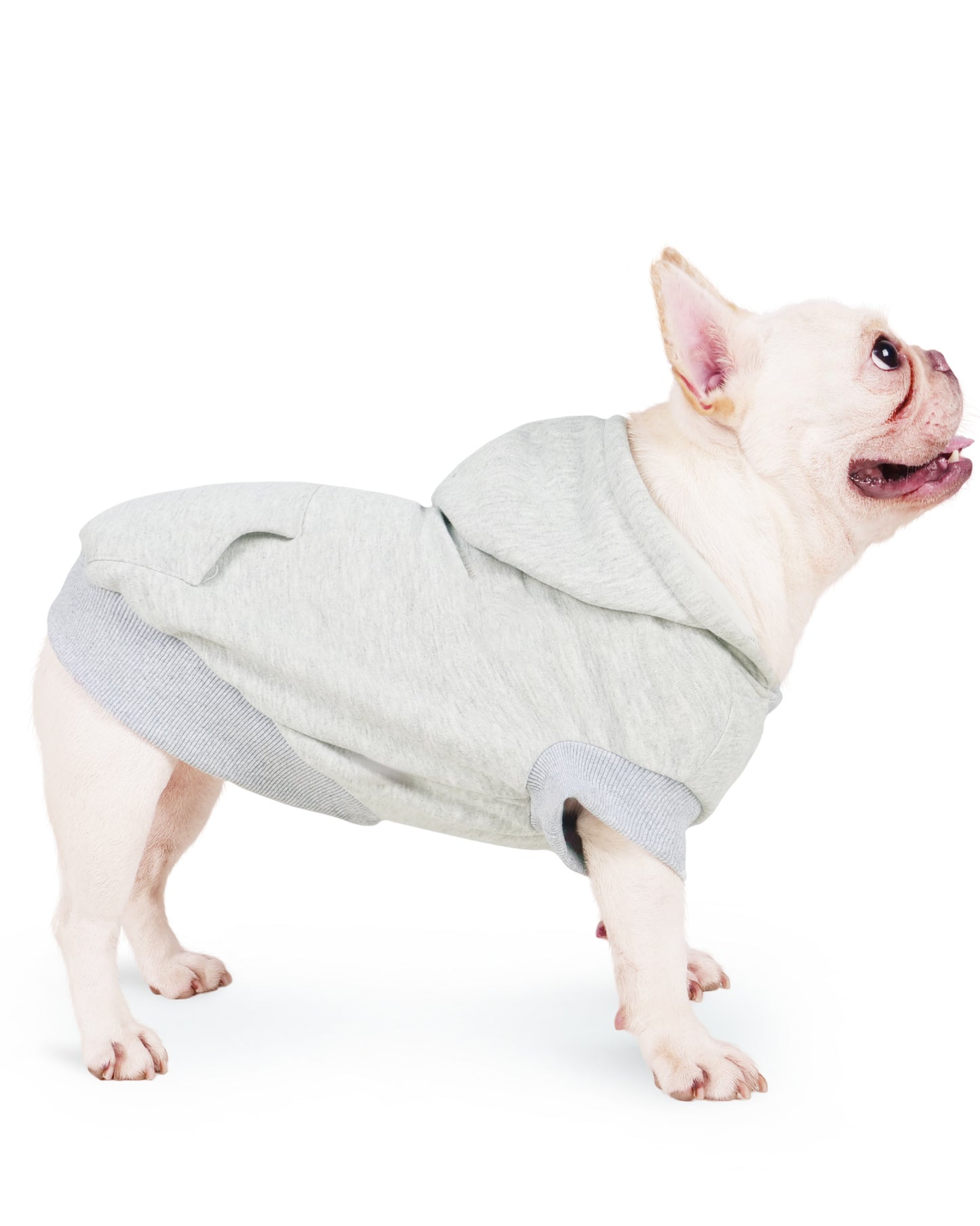 Joyahoo Dog Hoodie