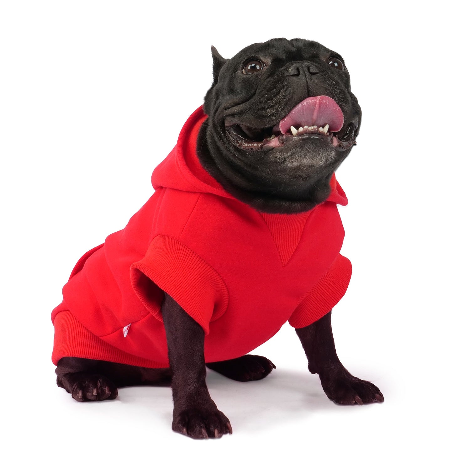 Frienperro Winter Warm Sweatshirt