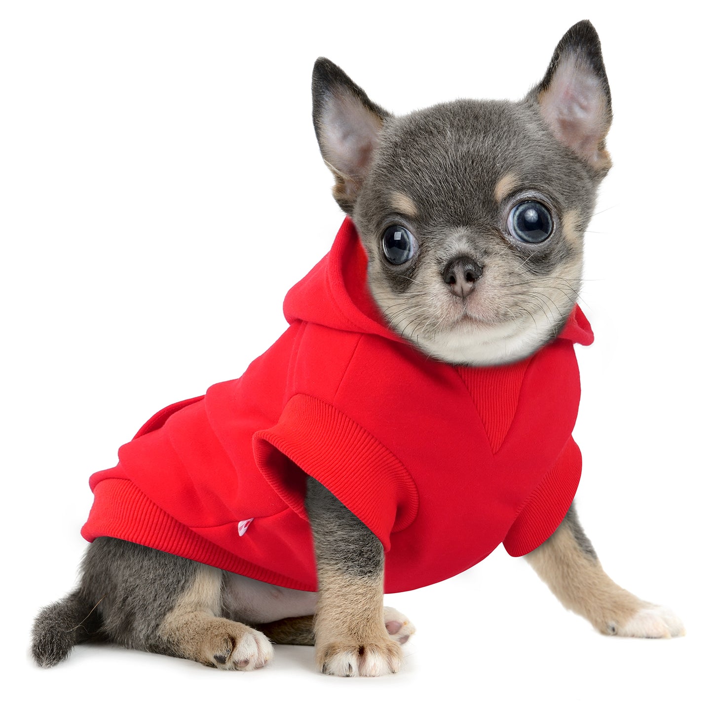 Frienperro Winter Warm Sweatshirt
