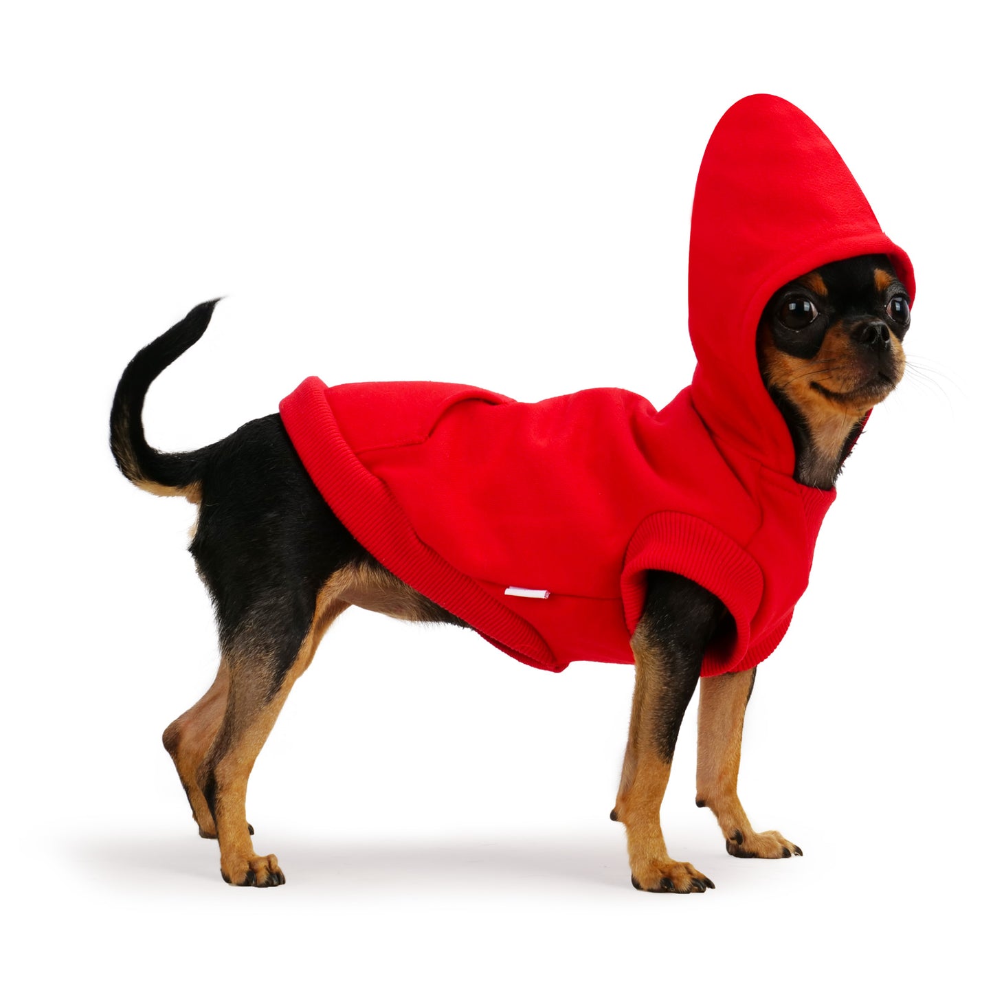 Frienperro Winter Warm Sweatshirt