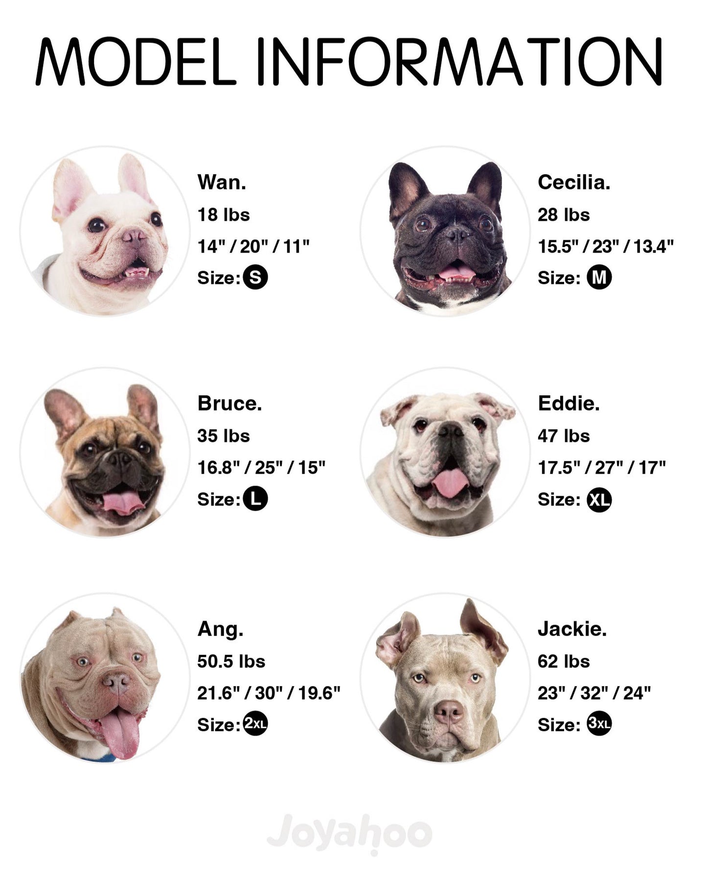 Joyahoo Dog Hoodie