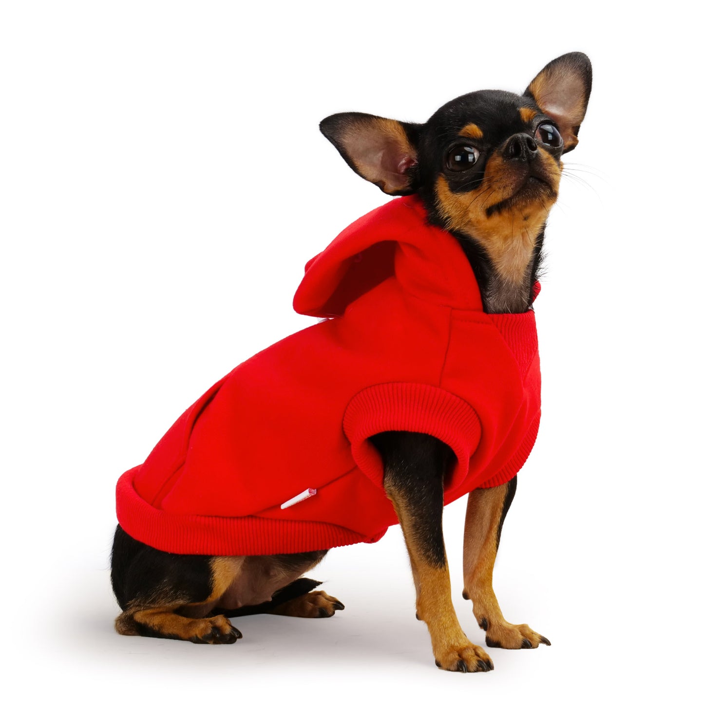 Frienperro Winter Warm Sweatshirt