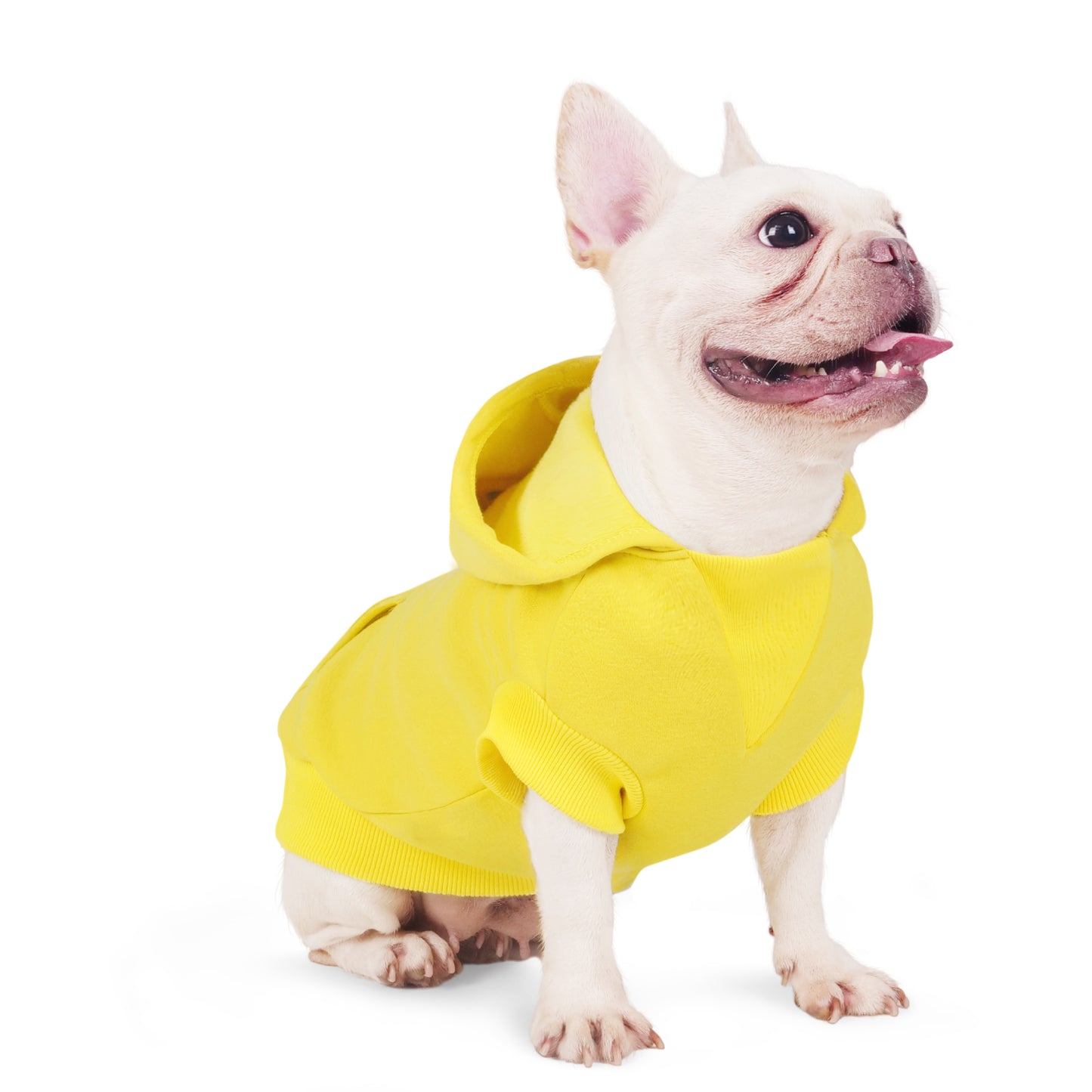 Joyahoo Dog Hoodie
