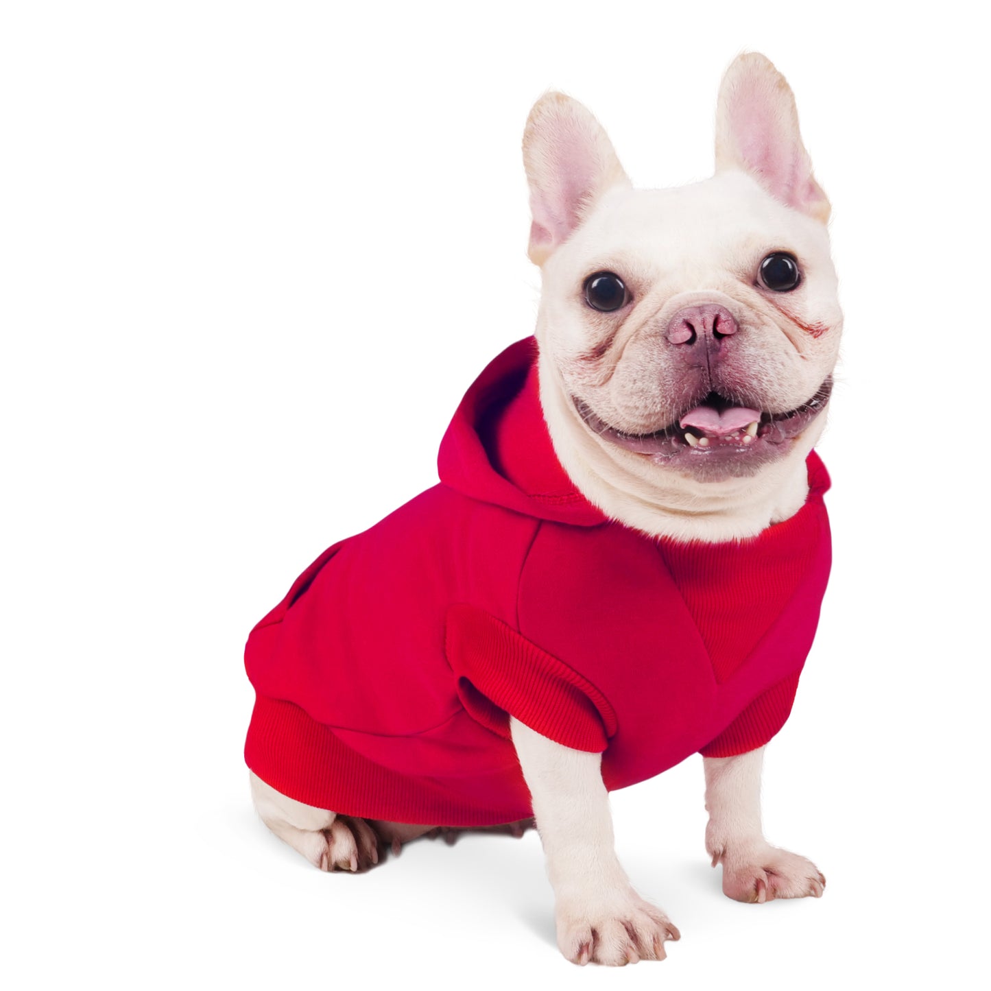 Joyahoo Dog Hoodie