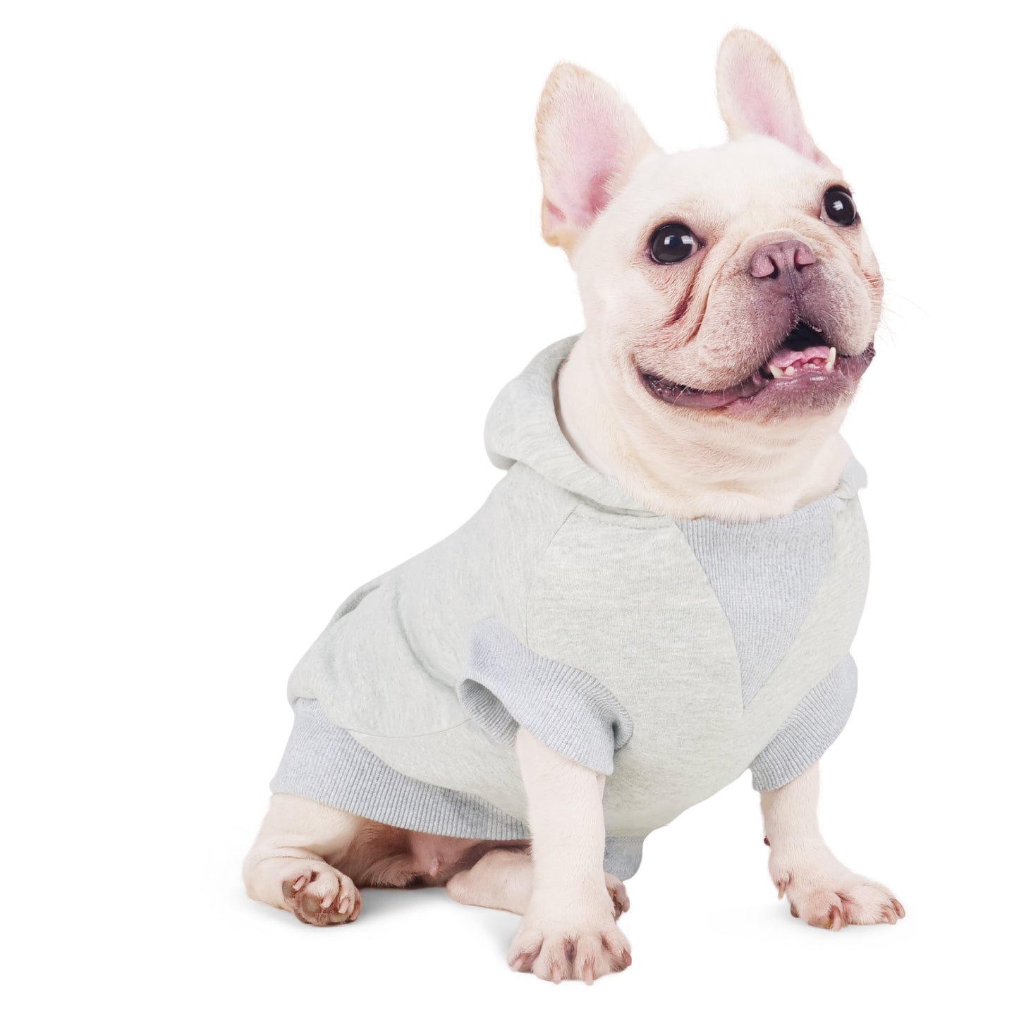 Joyahoo Dog Hoodie