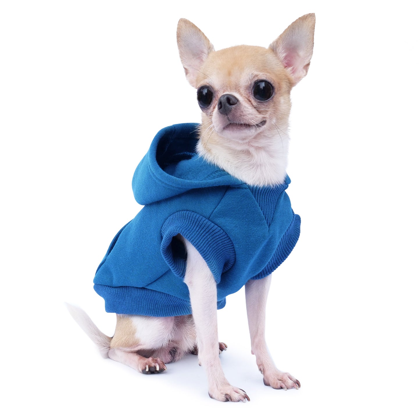 Frienperro Small Dog Hoodie