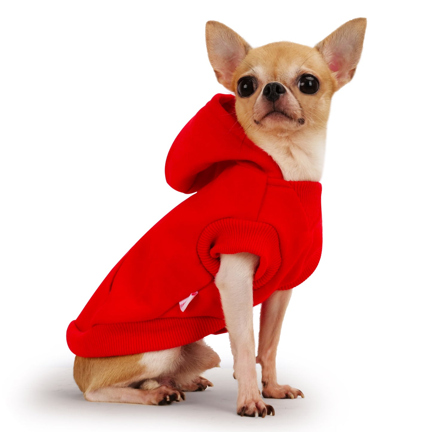 Frienperro Small Dog Hoodie