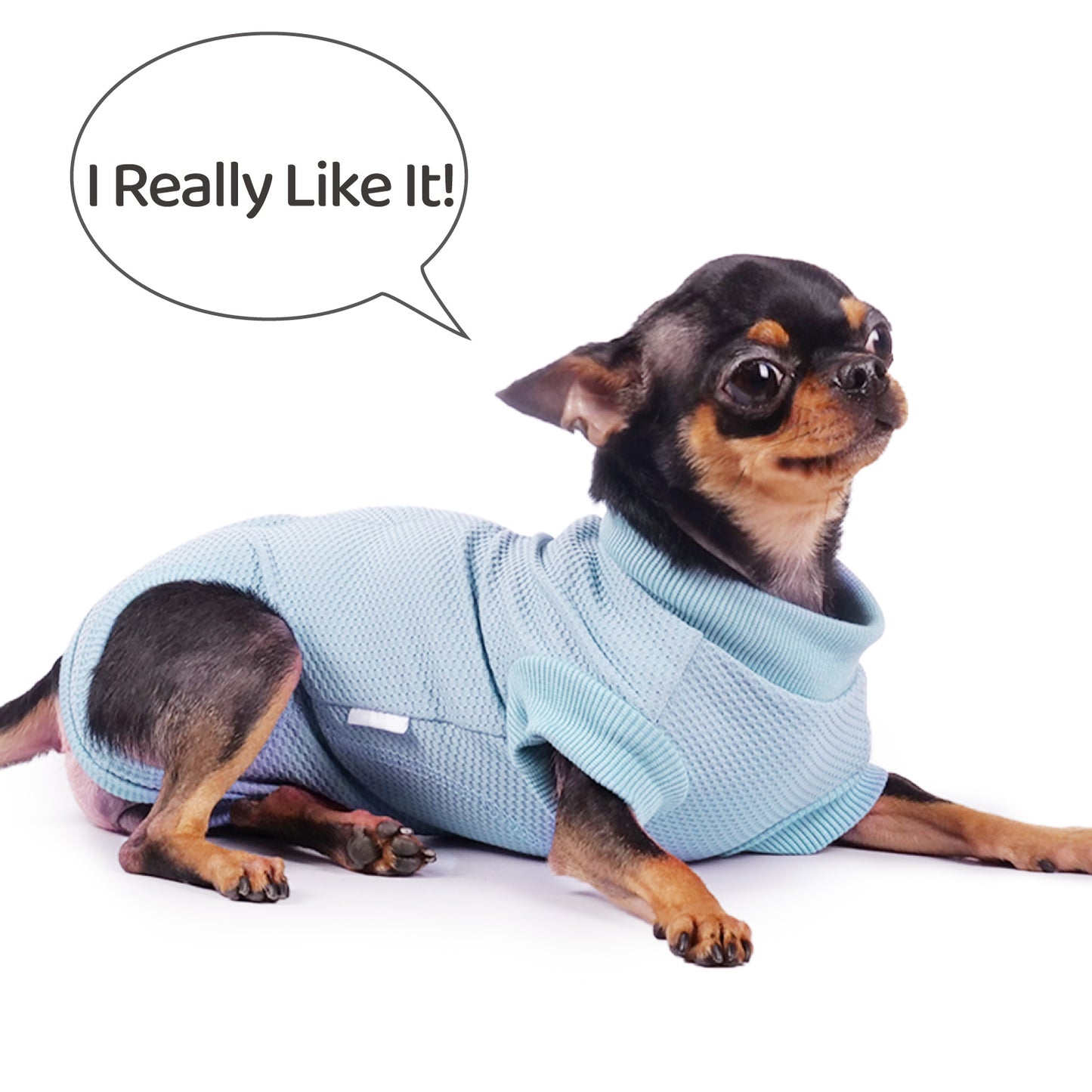 Frienperro Dog Recovery Suit