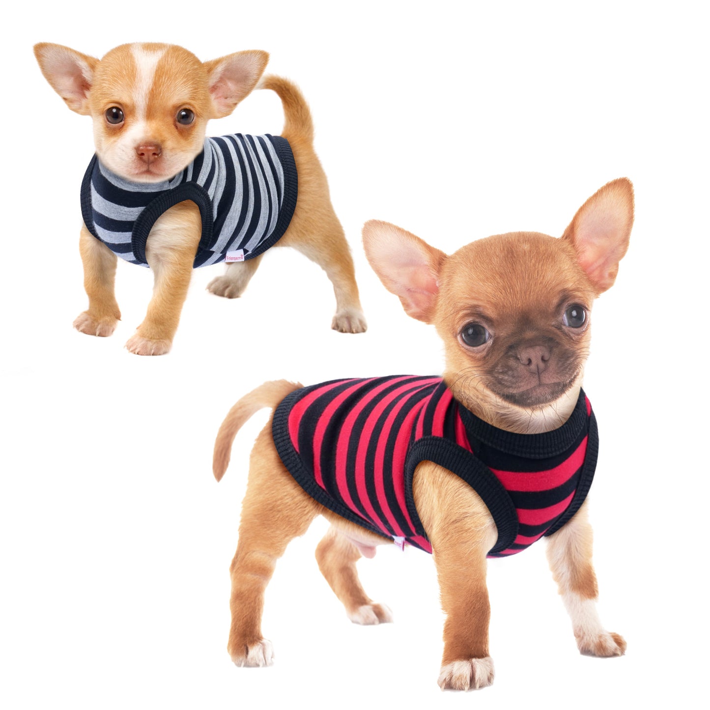 Frienperro 2-Pack Striped Dog Clothes