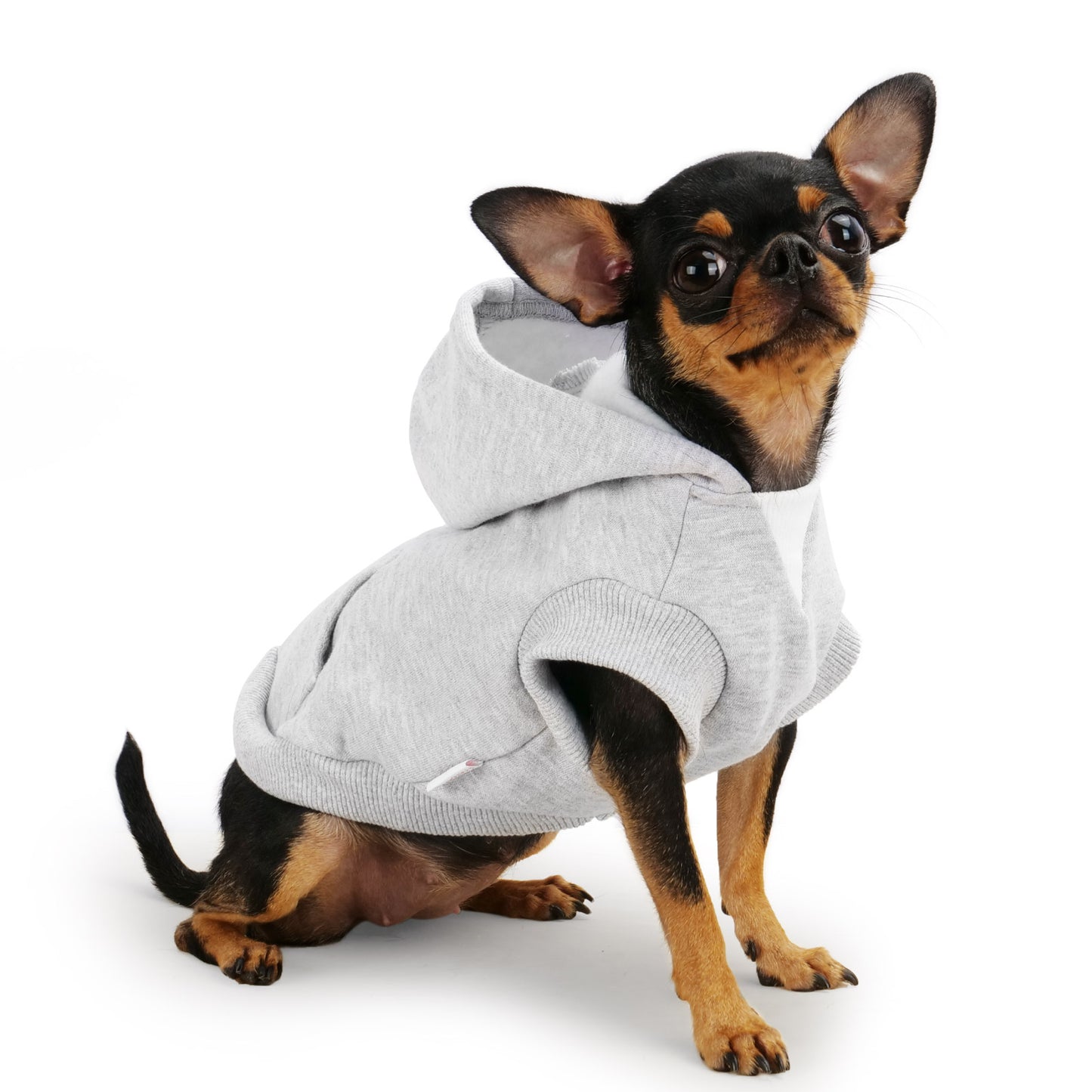 Frienperro Small Dog Hoodie