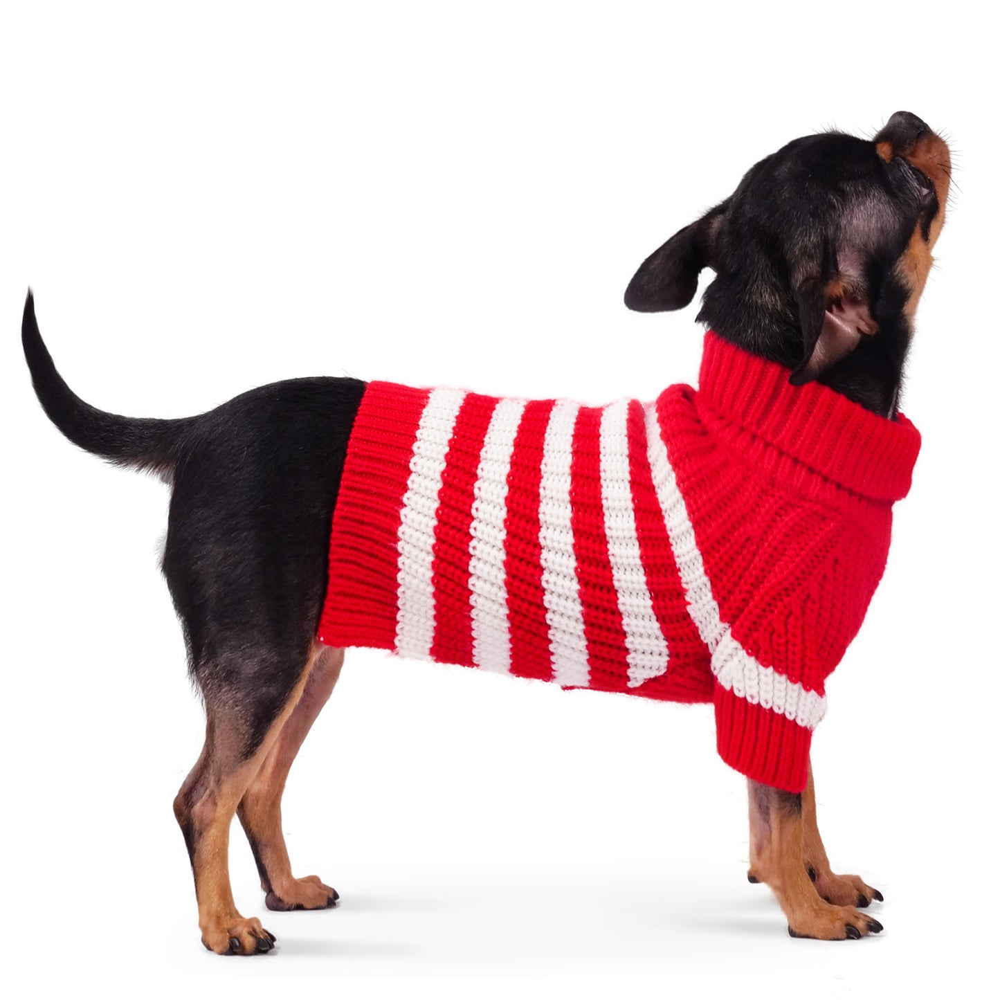 Frienperro Striped Puppy Sweater