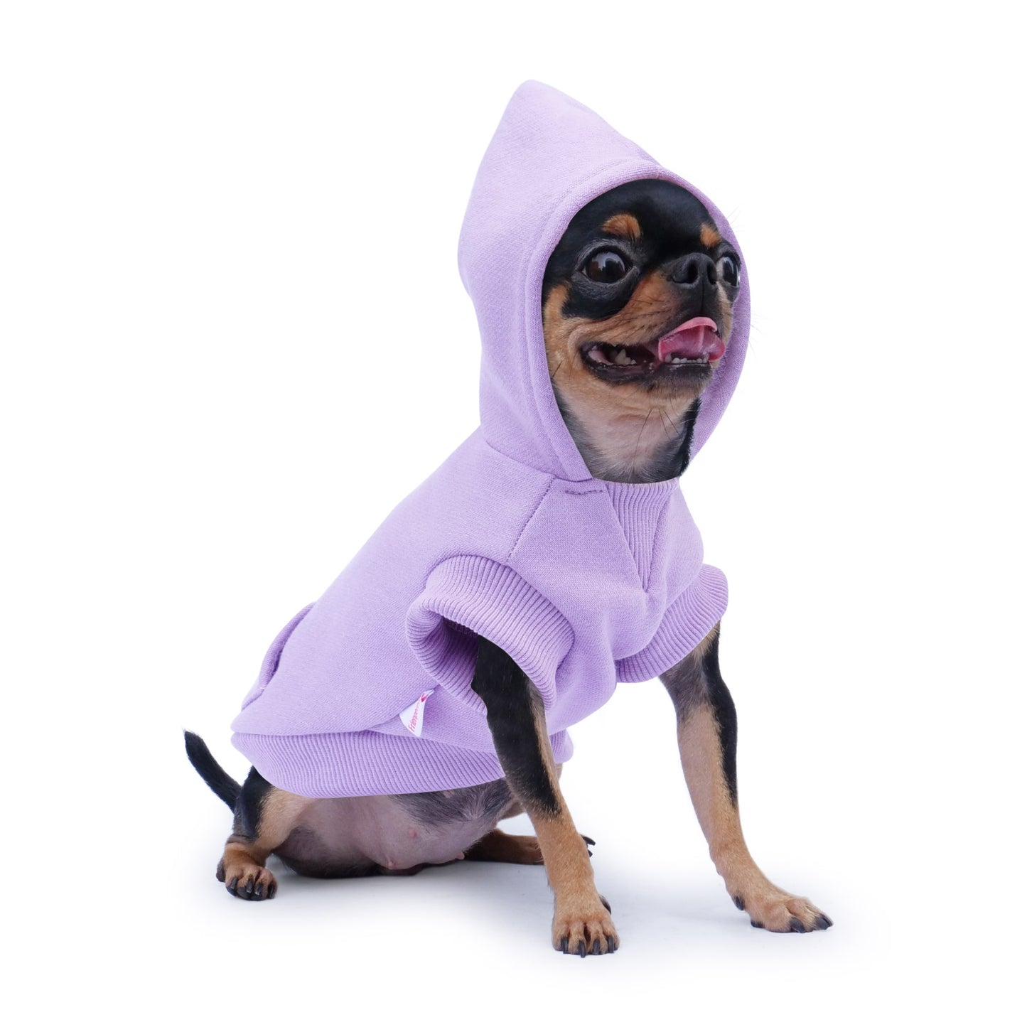 Frienperro Small Dog Hoodie