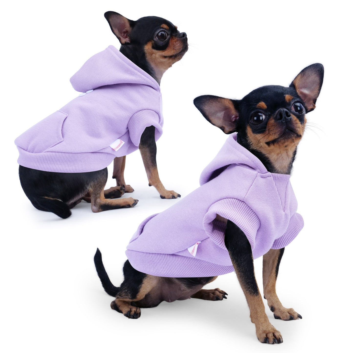 Frienperro Small Dog Hoodie