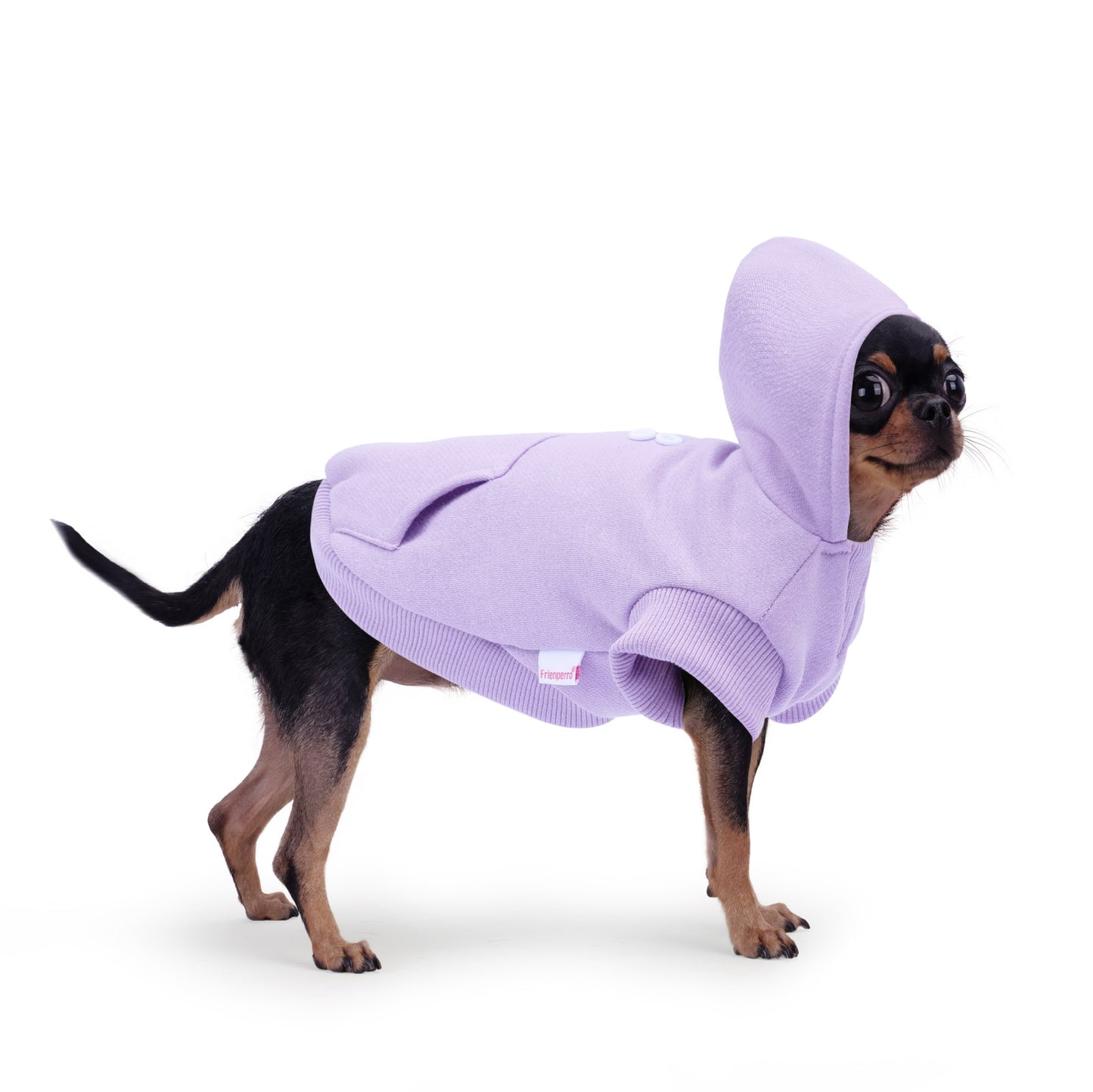 Frienperro Small Dog Hoodie