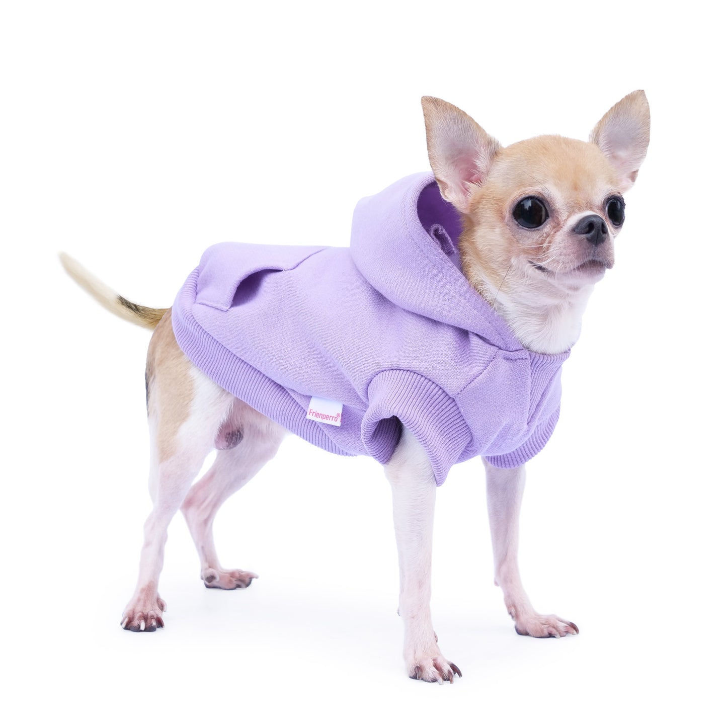 Frienperro Small Dog Hoodie