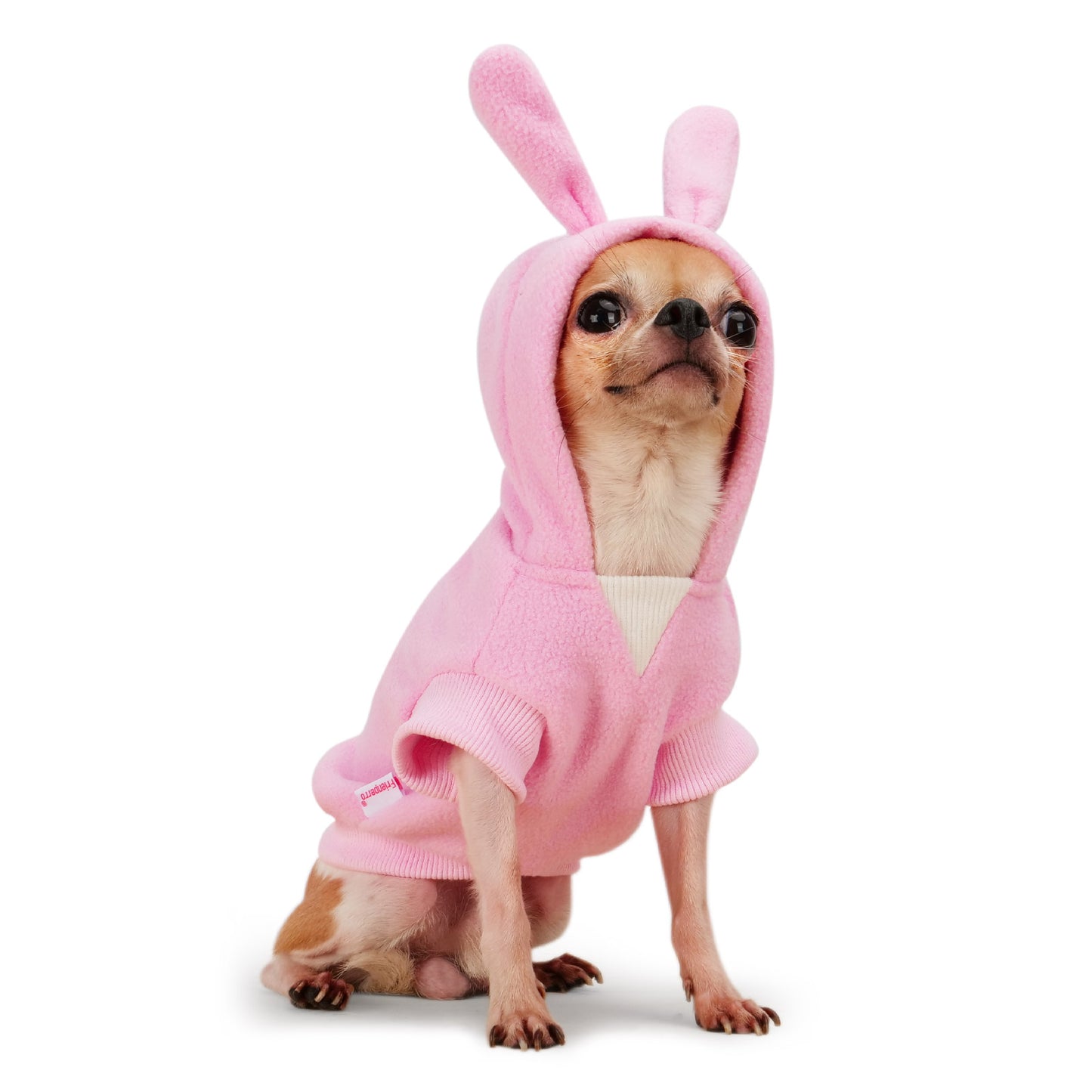 Frienperro Rabbit Dog Costume